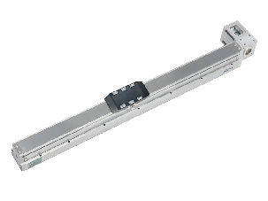 Inlay Belt Môi trường chung